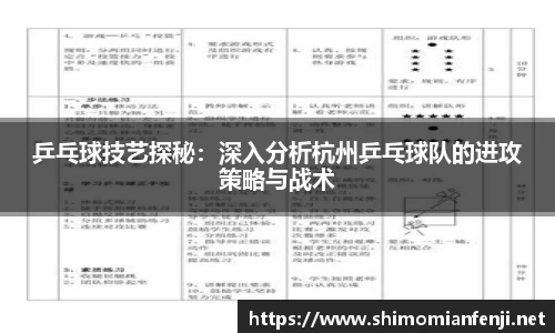 乒乓球技艺探秘：深入分析杭州乒乓球队的进攻策略与战术