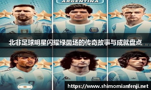 北非足球明星闪耀绿茵场的传奇故事与成就盘点